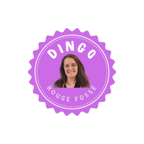 Dingo Dingo